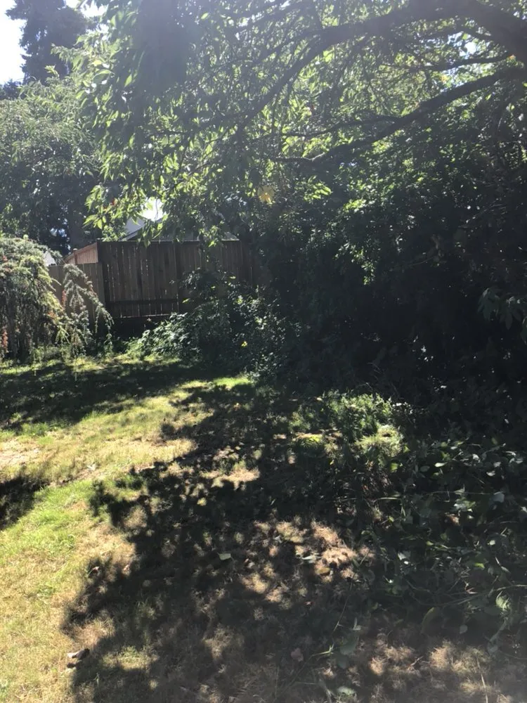 Reliable lawn mowing service for year-round maintenance in Tualatin, OR by Juan's Landscape Maintenance