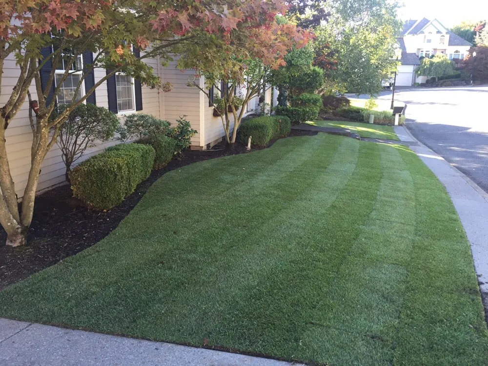 Trusted yard cleanup service for year-round maintenance in Tualatin, OR by Juan's Landscape Maintenance