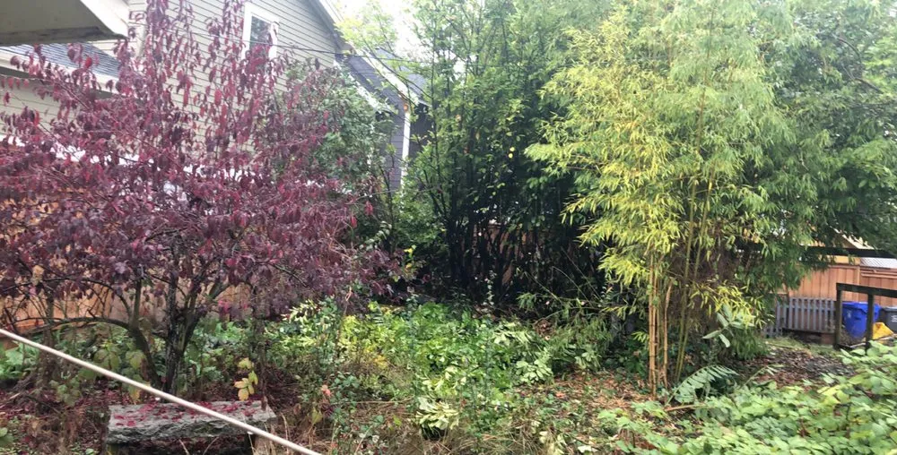 Reliable yard maintenance in Tualatin, OR - Juan's Landscape Maintenance