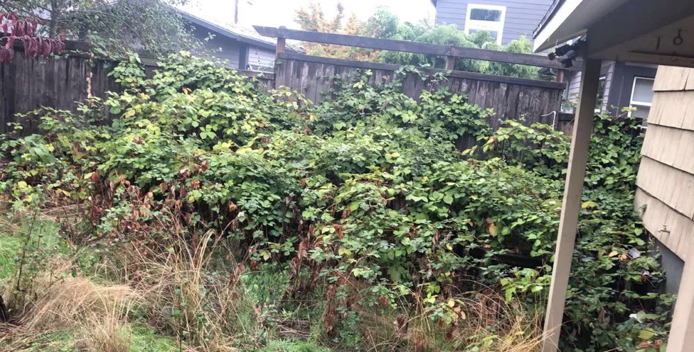 Expert residential landscaping in Tualatin, OR by Juan's Landscape Maintenance