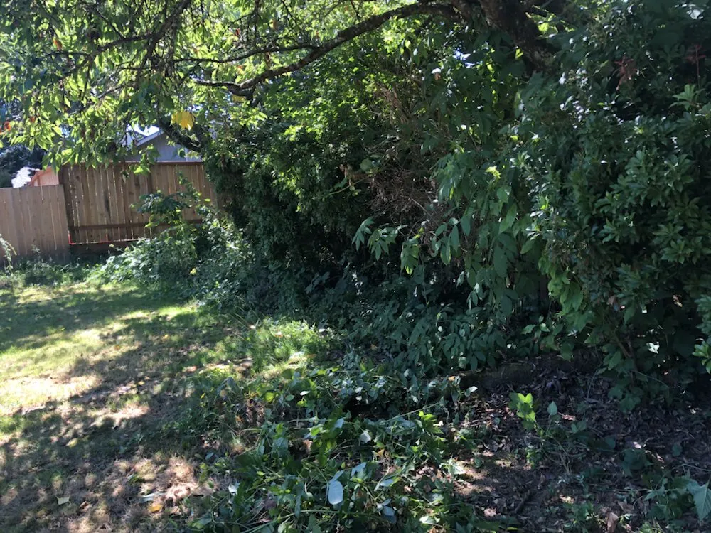 Reliable yard cleanup service in Tualatin, OR - Juan's Landscape Maintenance