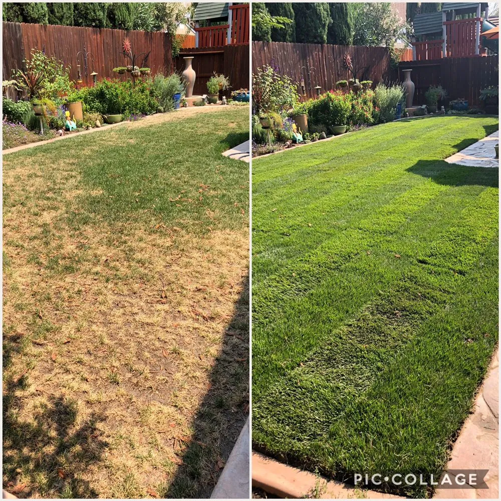 Professional yard cleanup service in Modesto, CA - Juan's Landscaping & Gardening Service