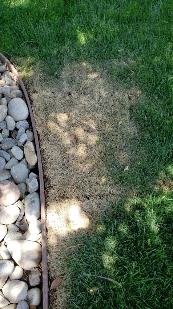 Custom residential landscaping experts serving Modesto, CA - Juan's Landscaping & Gardening Service