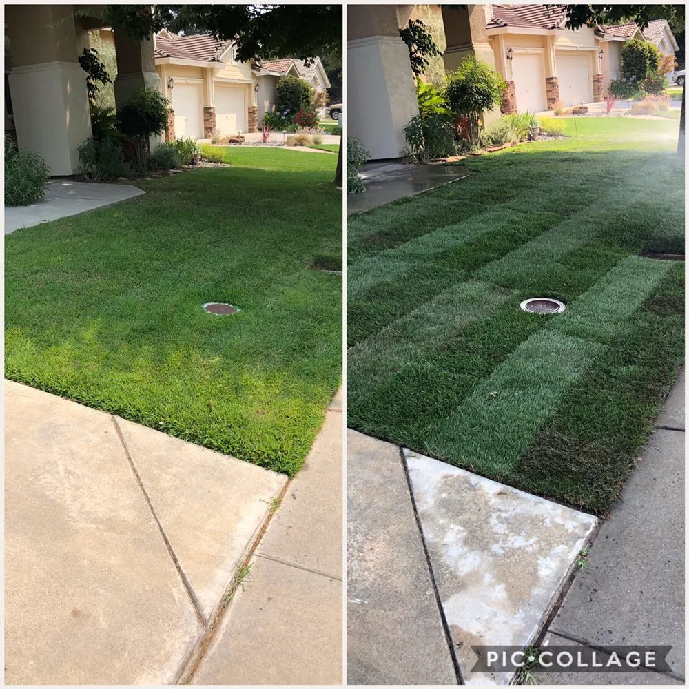 Local lawn care service experts serving Modesto, CA - Juan's Landscaping & Gardening Service