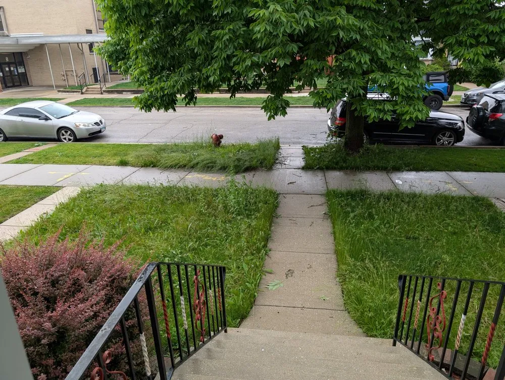 Professional landscaping services for year-round maintenance across Heights, IL - Juans Landscaping & Junk Removal