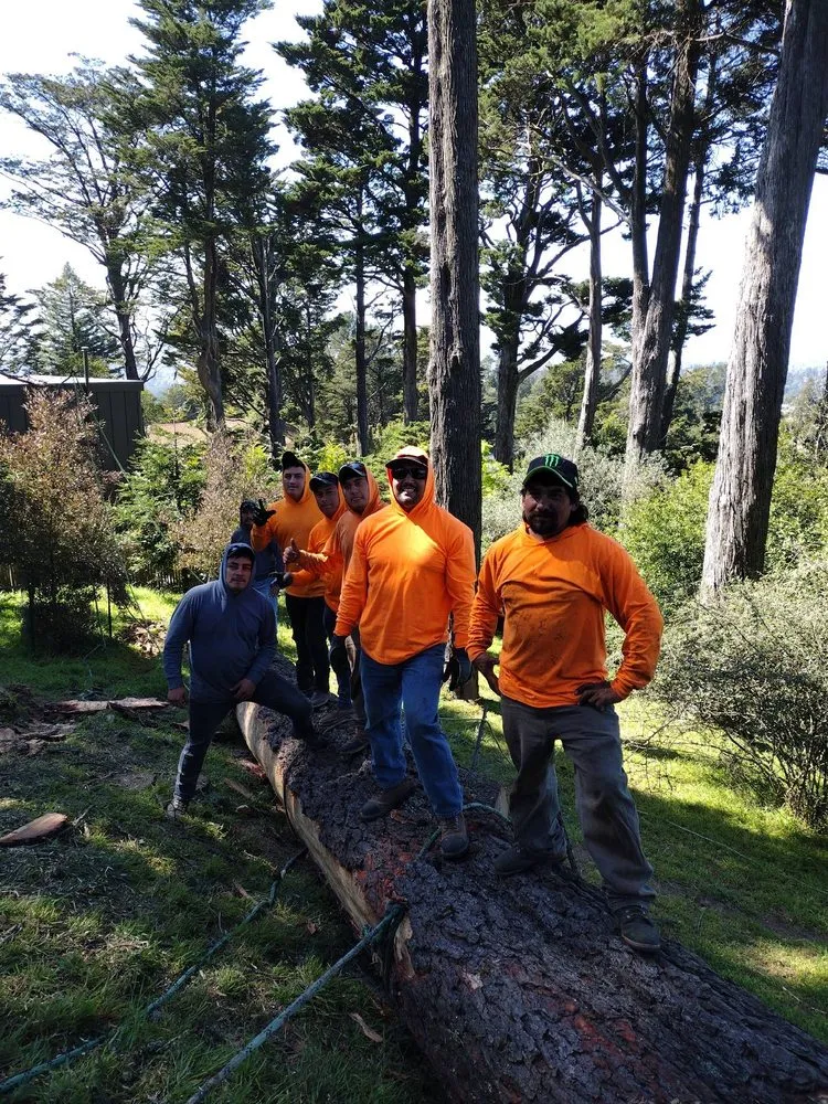 Local outdoor landscaping experts serving Pittsburg, CA - Juan's Landscaping & Tree Service
