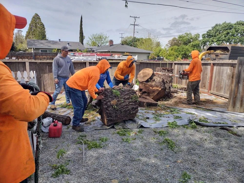 Reliable landscaping services for homes across Pittsburg, CA - Juan's Landscaping & Tree Service