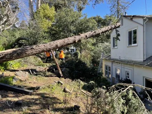 Juan's Landscaping & Tree Service Logo