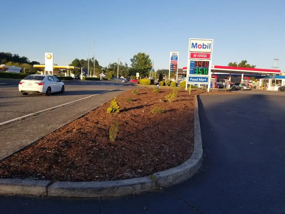 Trusted lawn mowing service in Bellingham, WA by Juan's Landscaping and Cutting Trees Contractor