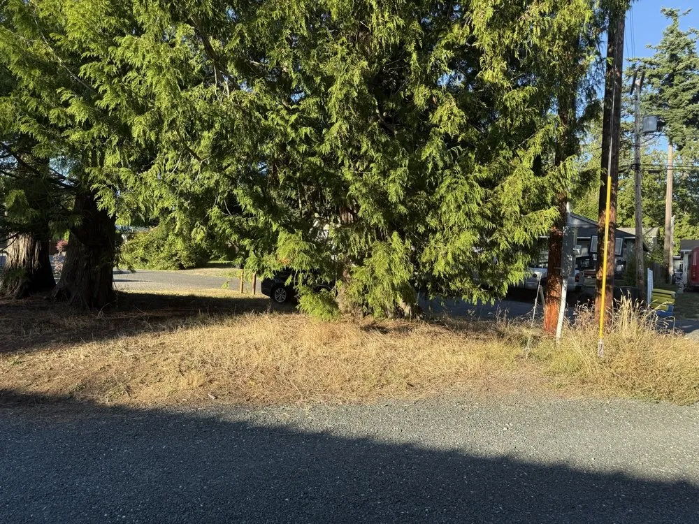 Reliable landscape design for year-round maintenance across Bellingham, WA - Juan's Landscaping and Cutting Trees Contractor