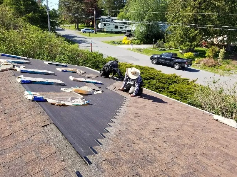 Reliable landscaping services in Bellingham, WA - Juan's Landscaping and Cutting Trees Contractor