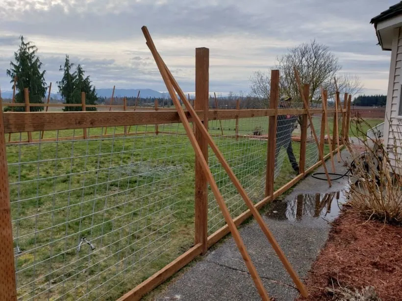 Local outdoor landscaping experts serving Bellingham, WA - Juan's Landscaping and Cutting Trees Contractor