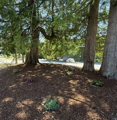 Juan's Landscaping and Cutting Trees Contractor