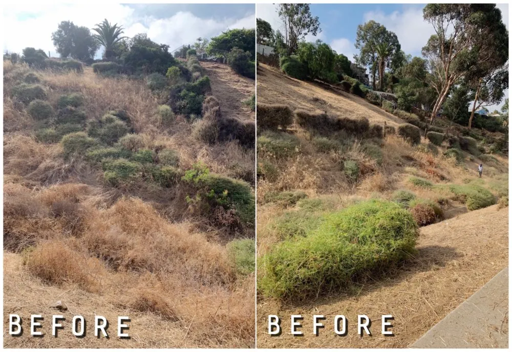 Trusted yard cleanup service in El Cajon, CA by Juans Landscaping