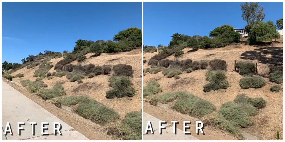 Custom yard cleanup service in El Cajon, CA - Juans Landscaping