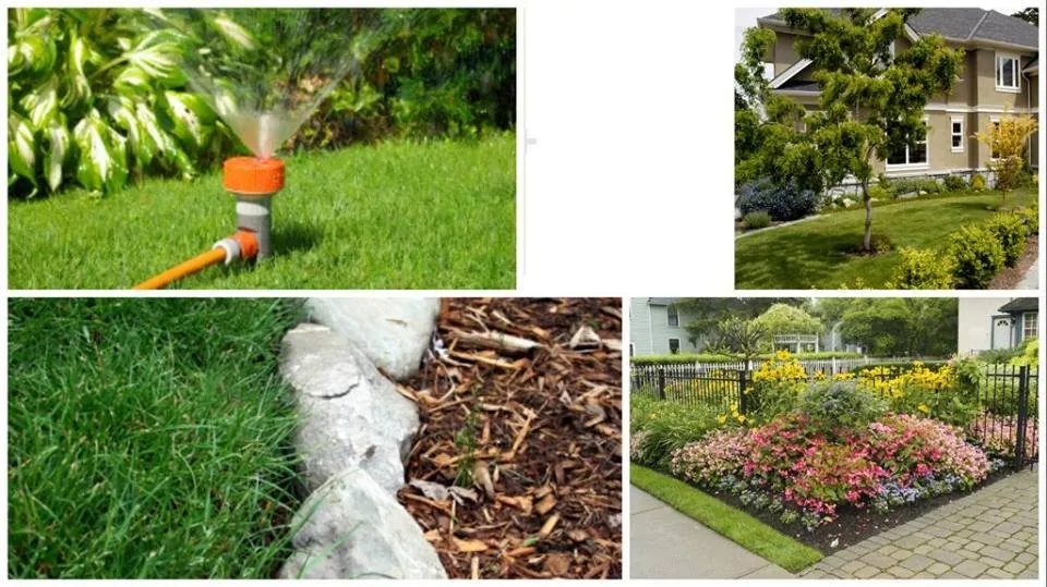 Professional landscape design in El Cajon, CA - Juans Landscaping