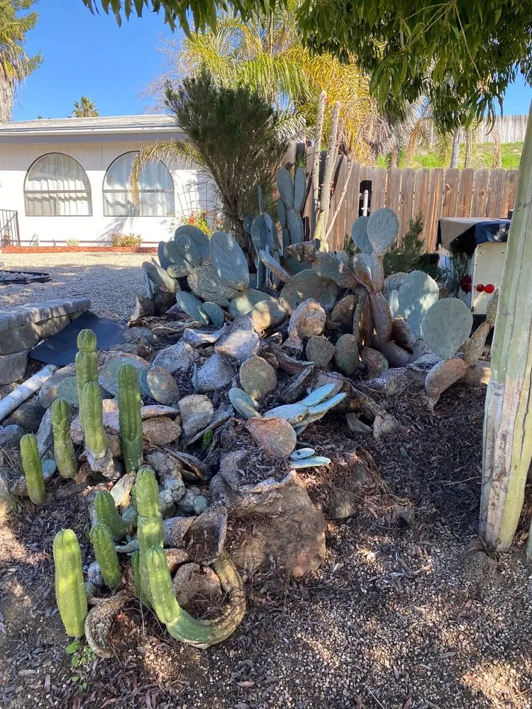 Expert landscape design near you in El Cajon, CA by Juans Landscaping