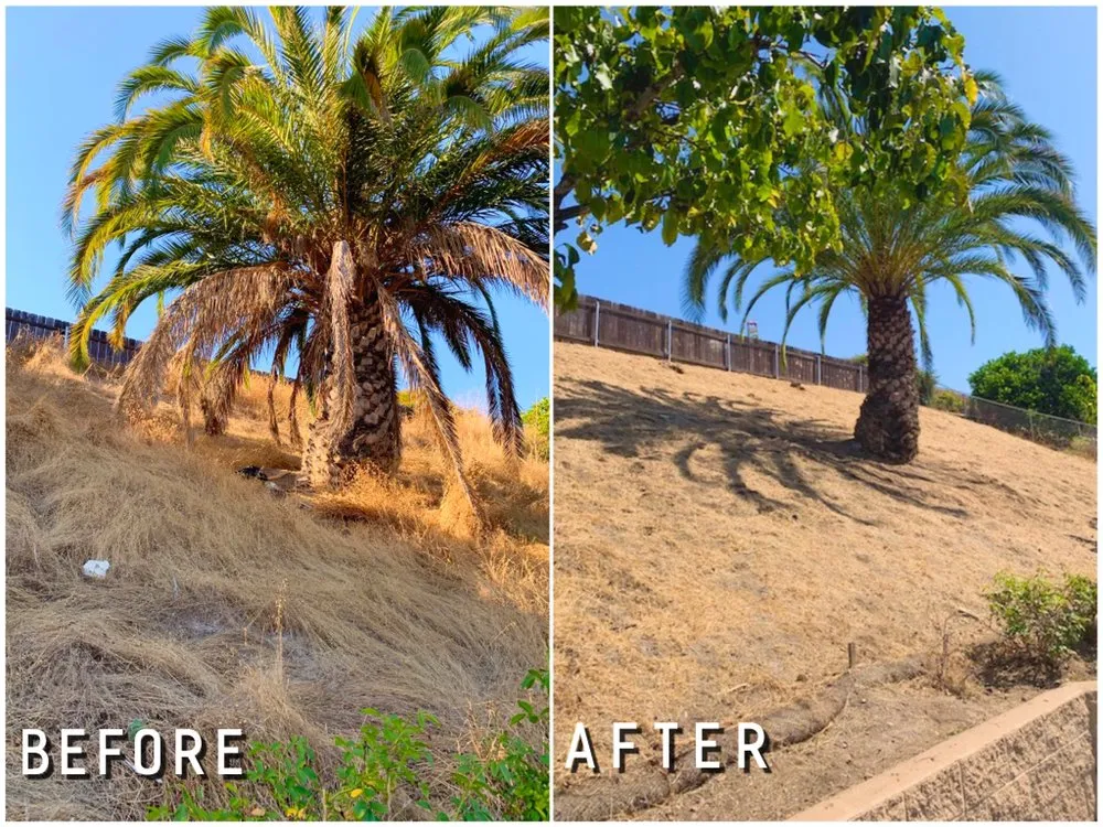 Affordable lawn care service in El Cajon, CA - Juans Landscaping