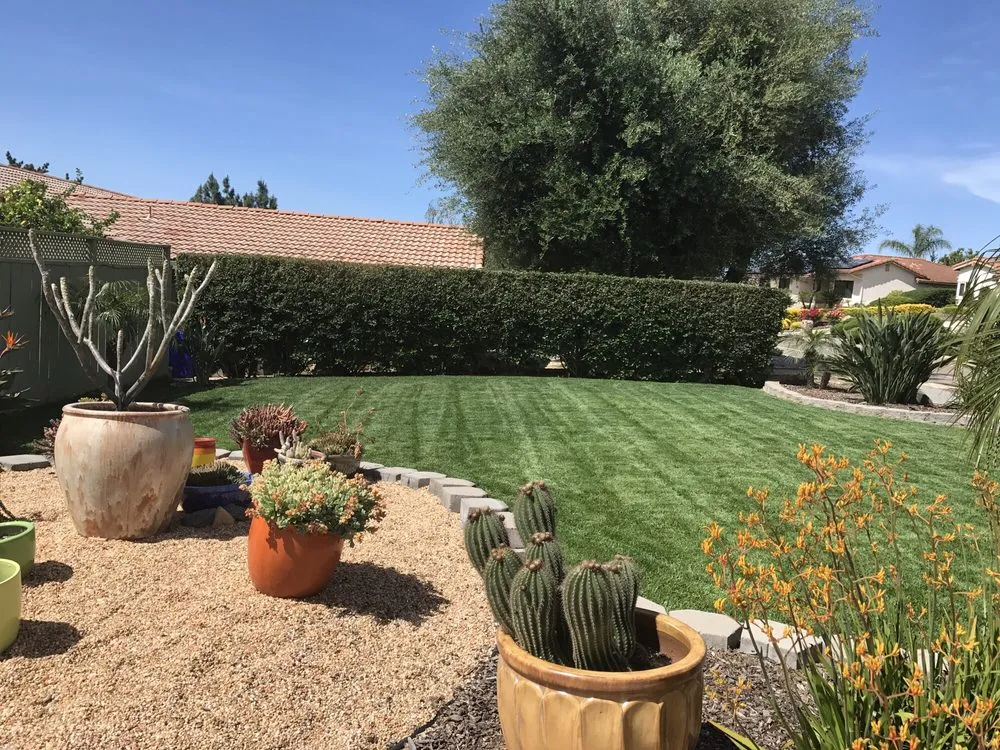 Trusted yard cleanup service for beautiful yards in Escondido, CA by Juan's Landscaping