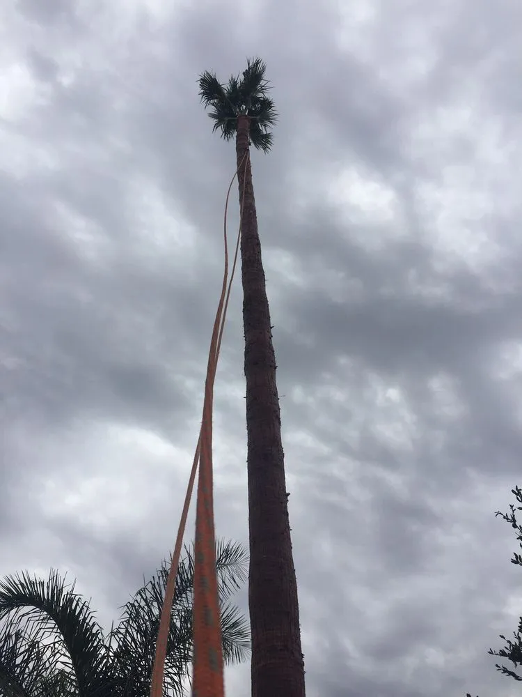 Top-rated lawn mowing service for residential properties in Escondido, CA by Juan's Landscaping