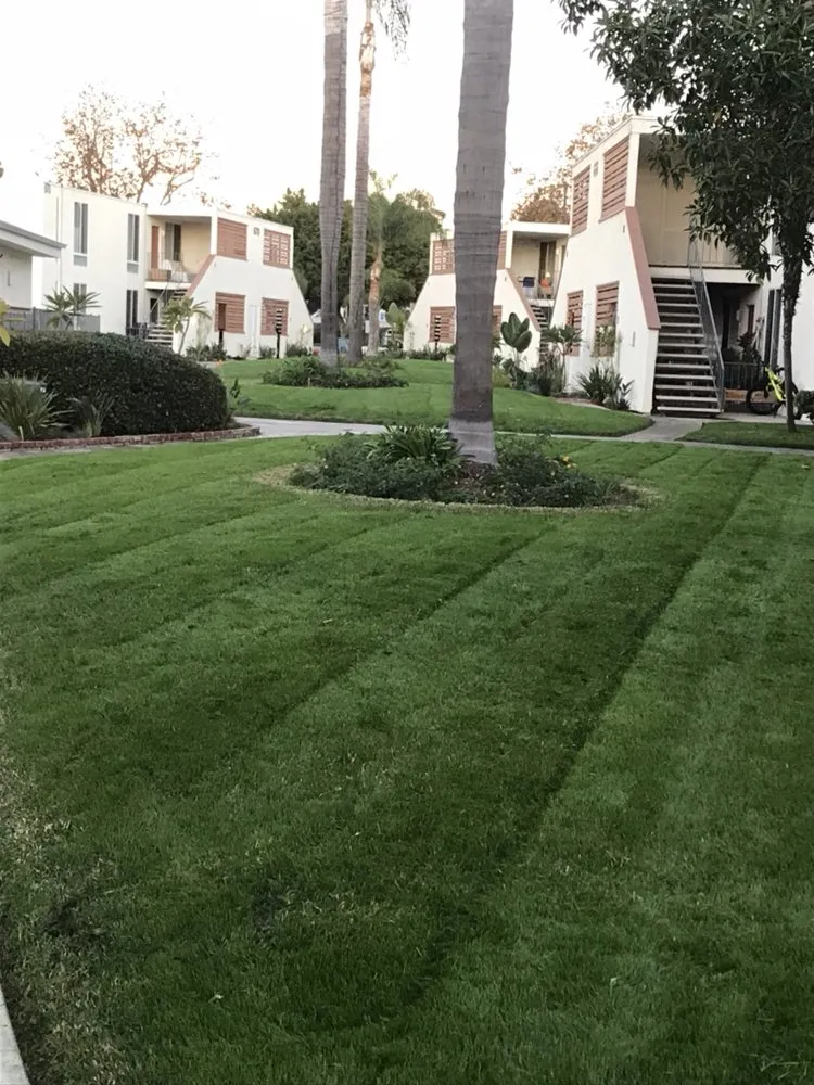 Top-rated landscaping services near you across Escondido, CA - Juan's Landscaping
