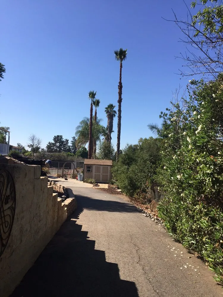 Professional lawn mowing service experts serving Escondido, CA - Juan's Landscaping