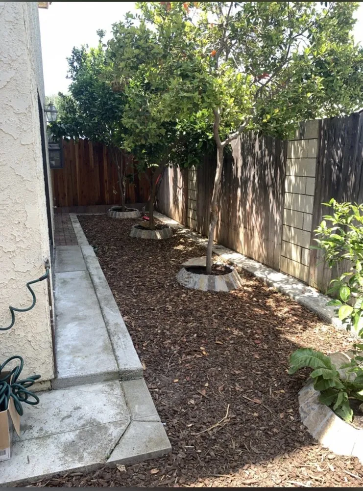 Trusted yard cleanup service for residential properties across Lawndale, CA - Juan's Landscaping