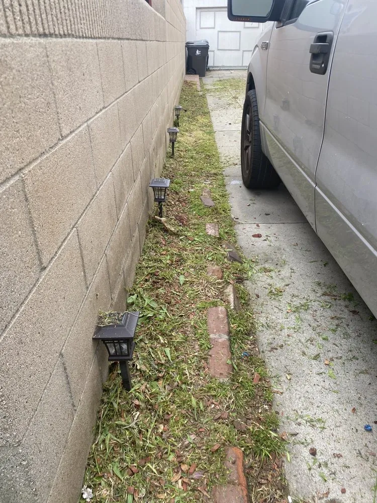 Local yard cleanup service near you in Lawndale, CA by Juan's Landscaping