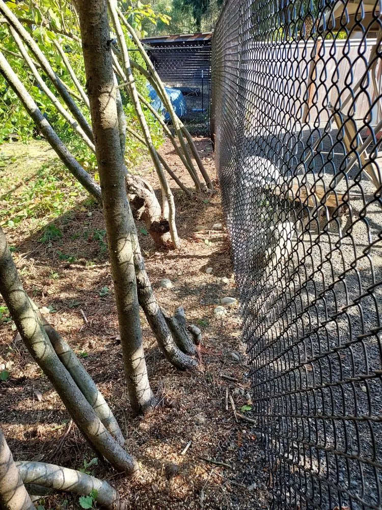 Custom landscape design for outdoor upgrades across Shelton, WA - Juan's Landscaping