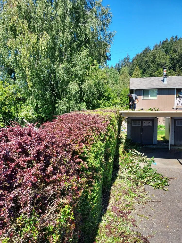 Top-rated outdoor landscaping in Shelton, WA - Juan's Landscaping