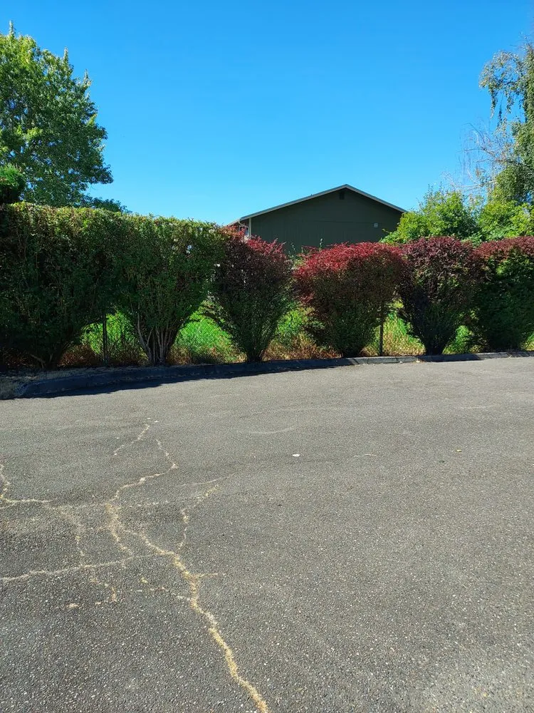 Trusted yard cleanup service in Shelton, WA - Juan's Landscaping
