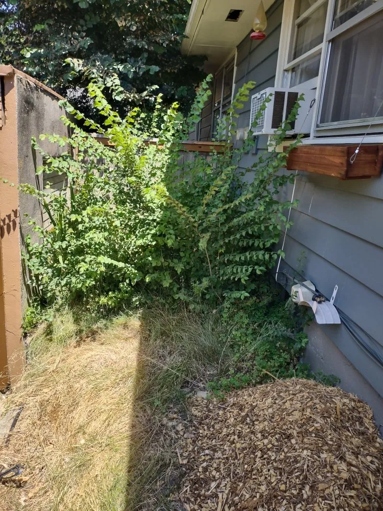 Top-rated residential landscaping in Vancouver, WA by Juan's Landscaping