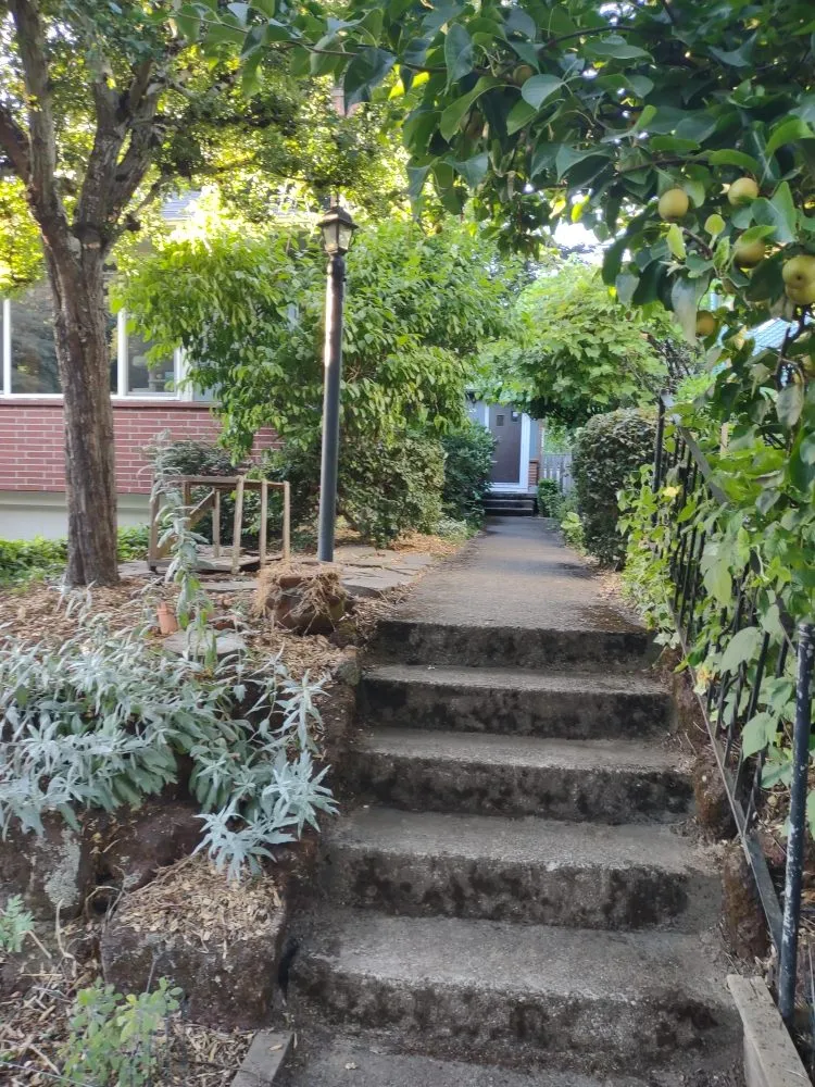 Top-rated landscaping services in Vancouver, WA - Juan's Landscaping