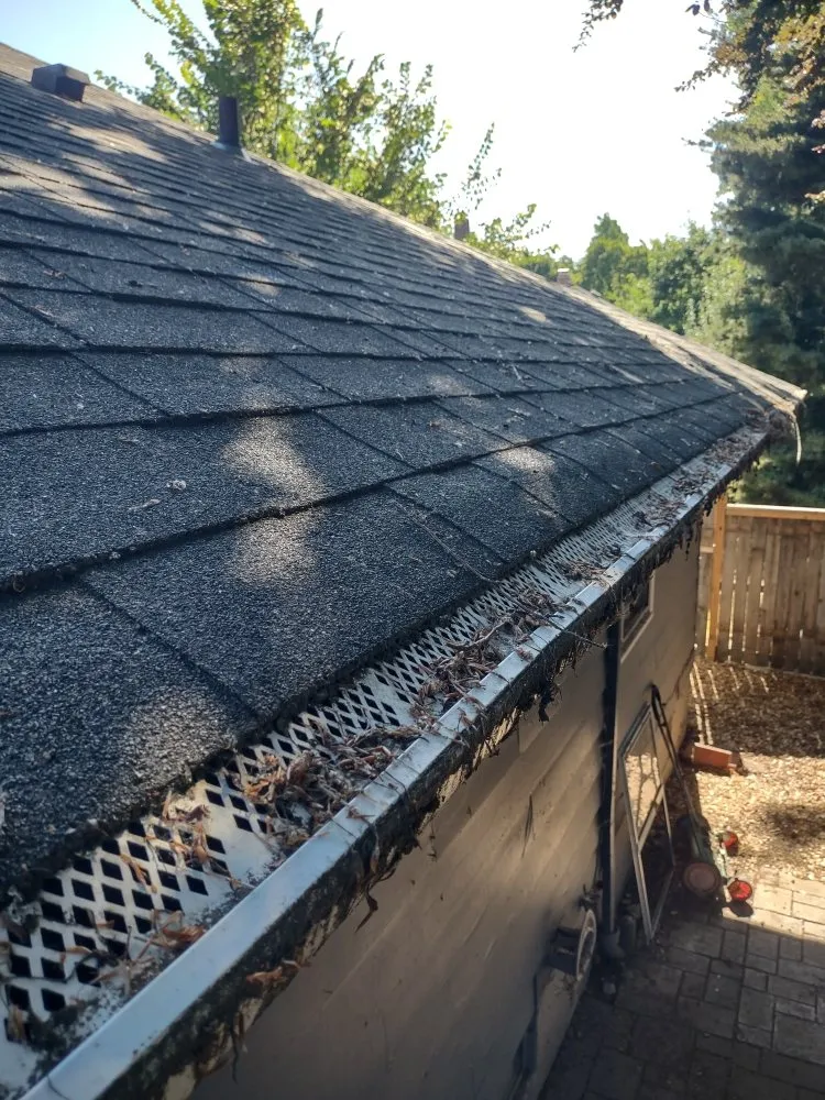 Affordable landscape design experts serving Vancouver, WA - Juan's Landscaping