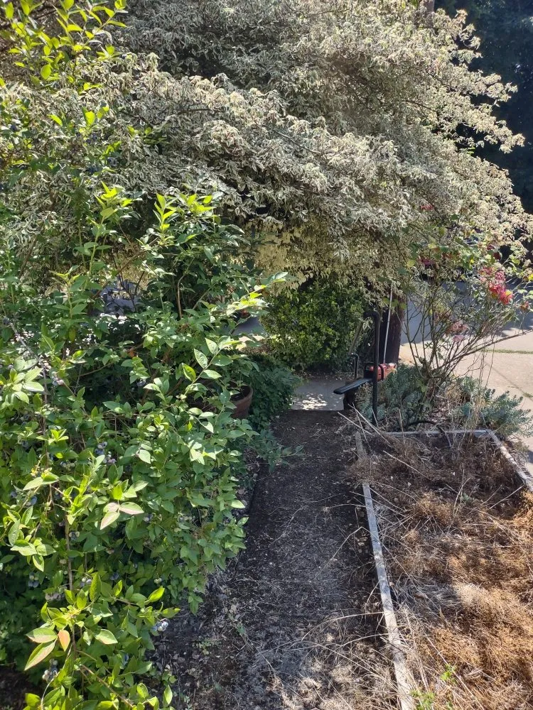Affordable outdoor landscaping experts serving Vancouver, WA - Juan's Landscaping