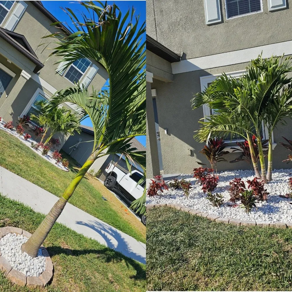 Expert outdoor landscaping in Wimauma, FL - Juans Landscaping