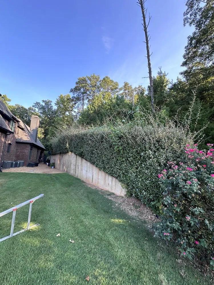 Trusted yard cleanup service for beautiful yards in Northport, AL by Juan’s Lawn Care And Landscaping