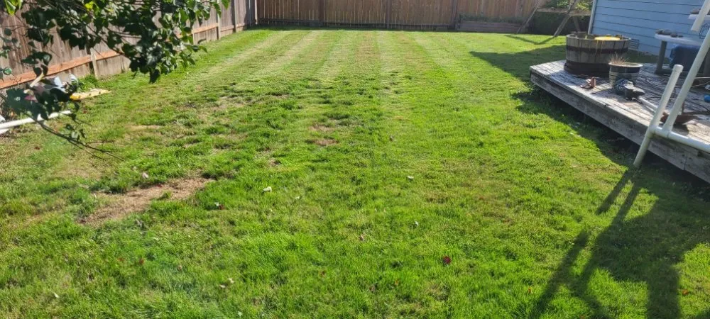 Expert lawn mowing service for beautiful yards in Bow, WA by Juan's Lawn Care