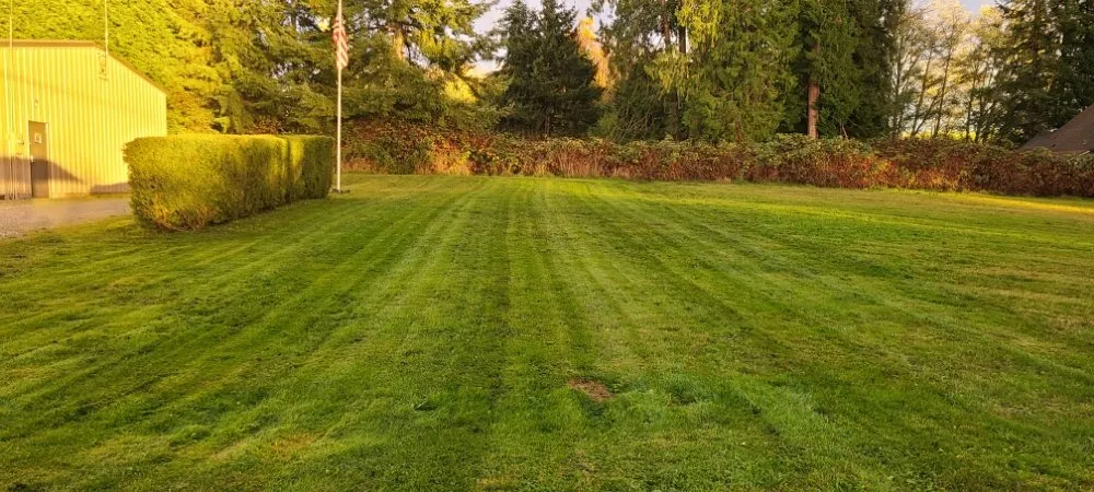 Professional garden landscaping experts serving Bow, WA - Juan's Lawn Care