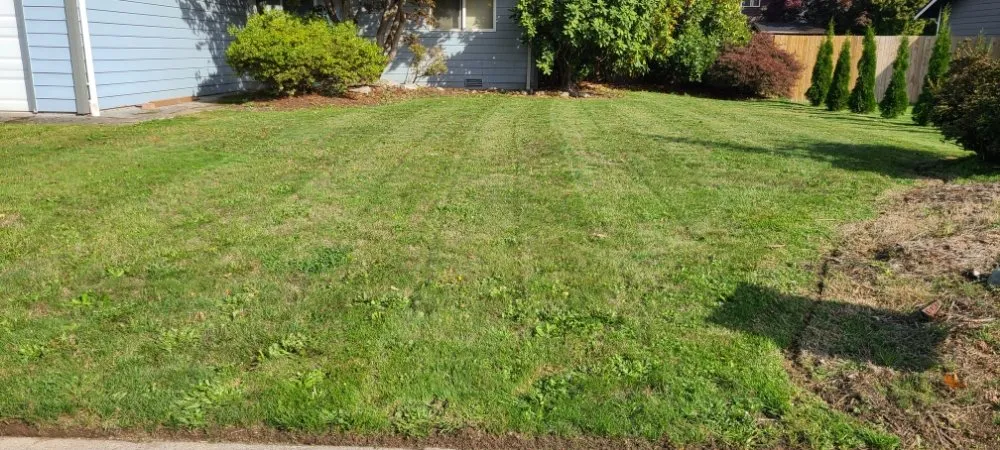 Reliable lawn care service near you across Bow, WA - Juan's Lawn Care