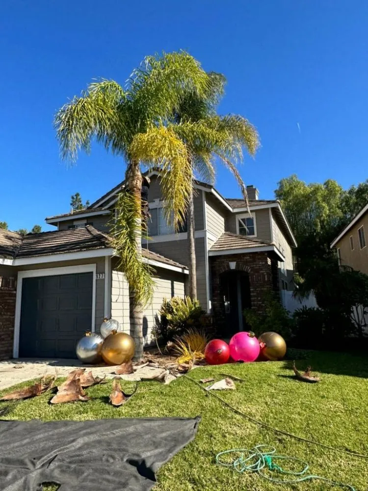 Professional landscape design for year-round maintenance in Riverside, CA by Juan's Lawn Services