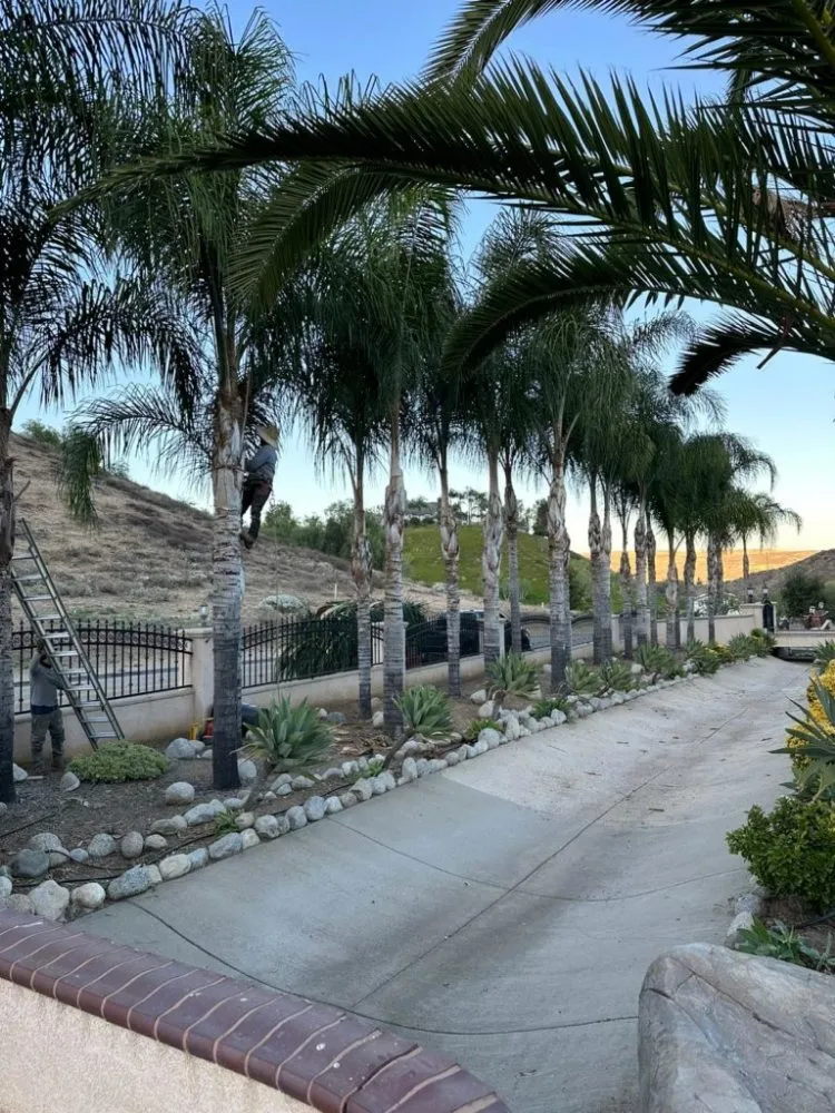 Local landscape installation experts serving Riverside, CA - Juan's Lawn Services