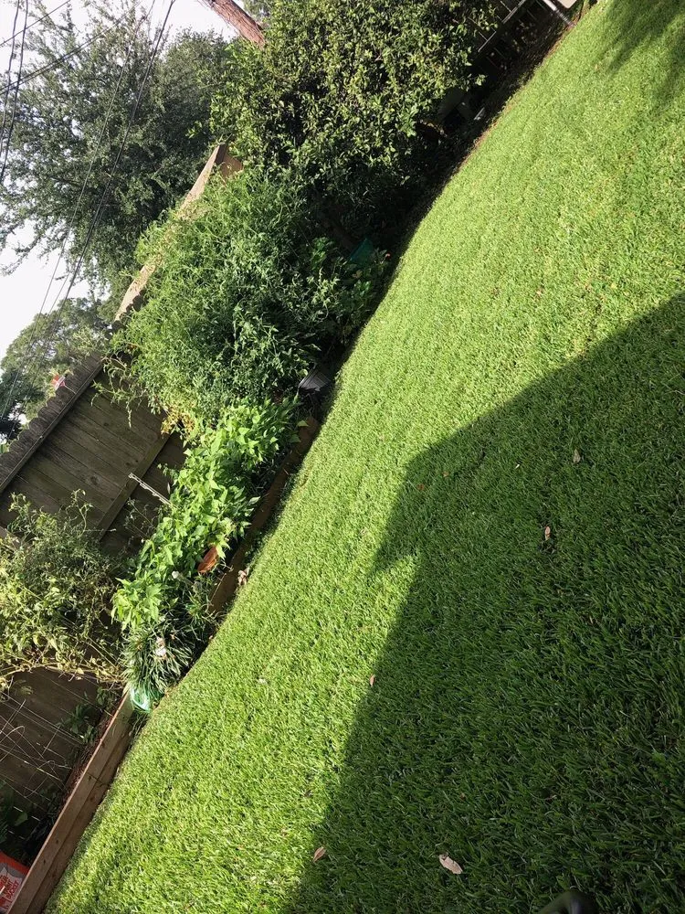 Affordable landscaping services in Pasadena, TX by Juans Lawns and Pressure washing