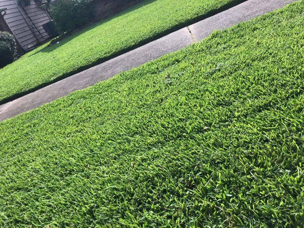 Affordable yard cleanup service with custom design in Pasadena, TX by Juans Lawns and Pressure washing