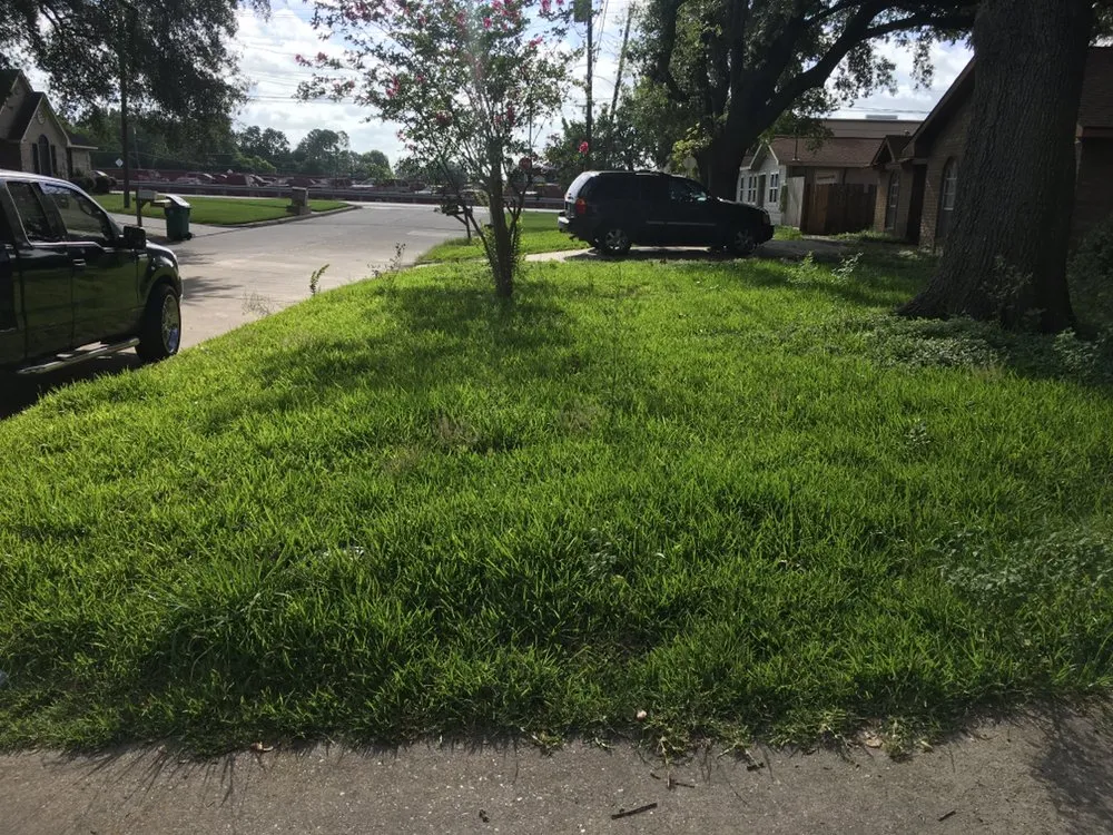 Trusted outdoor landscaping for year-round maintenance in Pasadena, TX by Juans Lawns and Pressure washing