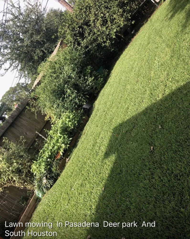 Professional outdoor landscaping in Pasadena, TX by Juans Lawns and Pressure washing