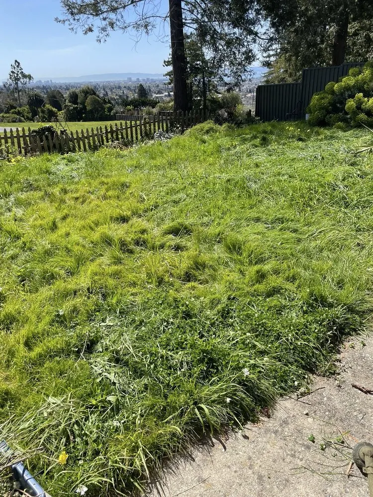 Expert landscaping services near you in El Cerrito, CA by Juan’s Lawns