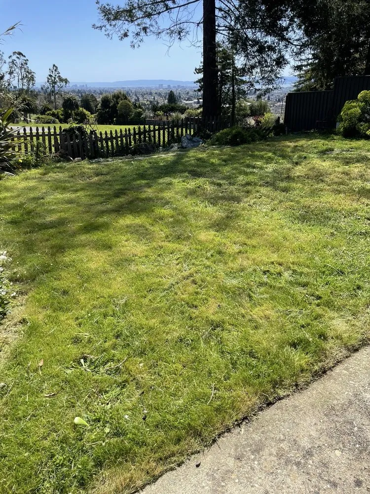 Reliable lawn mowing service experts serving El Cerrito, CA - Juan’s Lawns