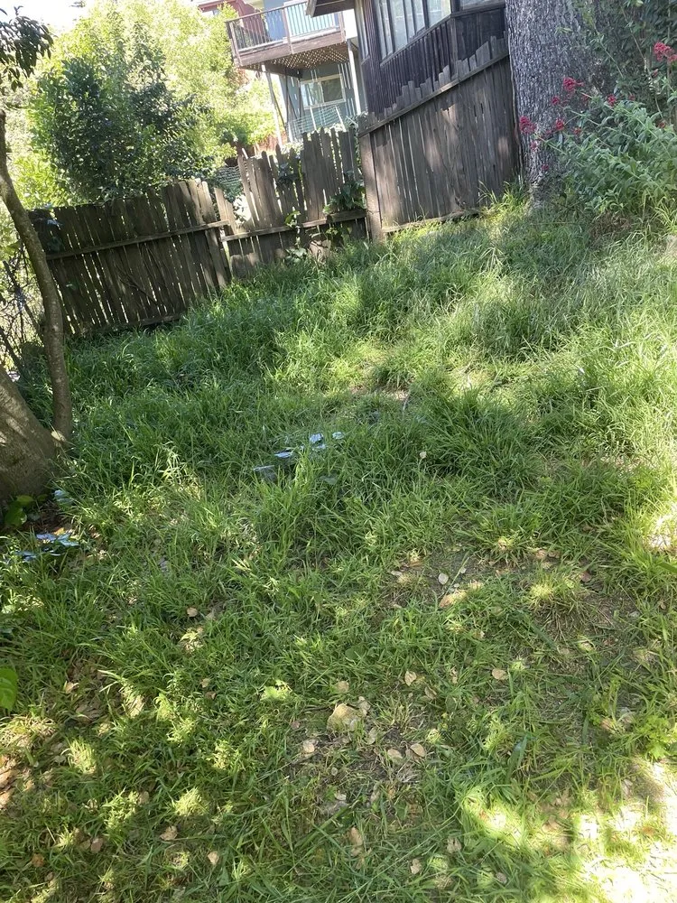 Professional residential landscaping for homes across El Cerrito, CA - Juan’s Lawns