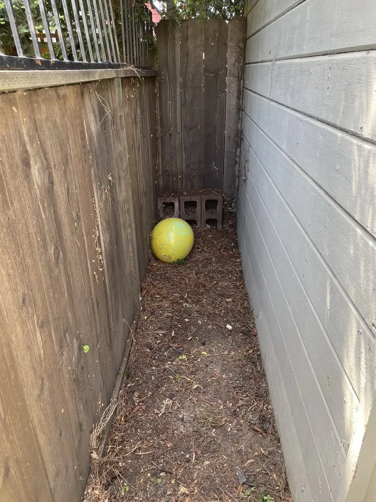 Local landscape installation in El Cerrito, CA by Juan’s Lawns
